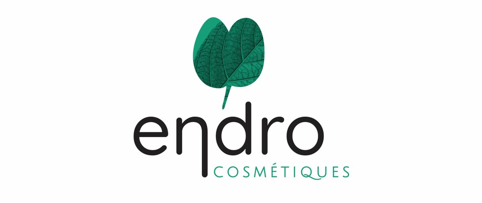 Endro Logo