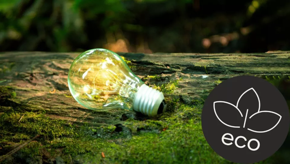 ECO_1t1c8tgw9em8c.jpg